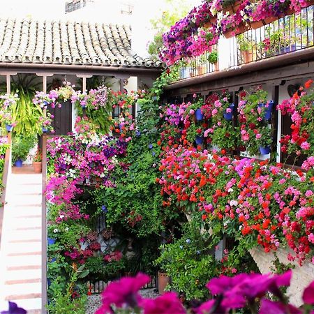 Appartamento Puerta A La Mezquita Cordova Esterno foto